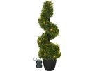 Dekorativer Baum Buxbom - grün, 20 LED's, 65 cm Höhe