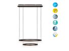 LED-CCT-Pendelleuchte CIRCULO - LED-Modul, 48W, IP20