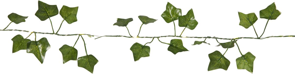 Lichterkette Ivy - IP20, Warmweiss,Grün