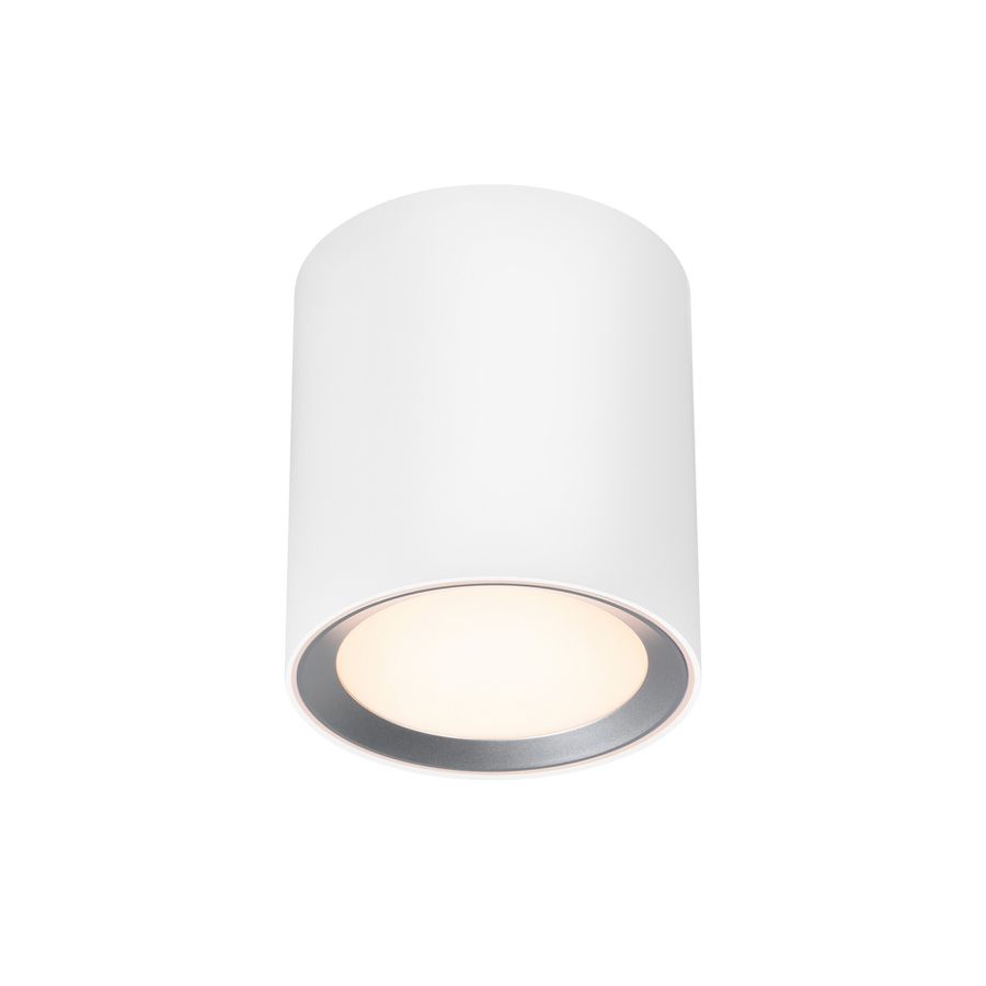 Landon Long Smart, Deckenleuchte, Weiss - 7W ,2700-6500K, IP44