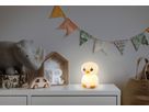 Nachtlicht Pinguin - 0.2W, IP20, USB-Ladung