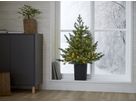 Weihnachtsbaum mit LED Grauland - IP20, Warmweiss, Grün