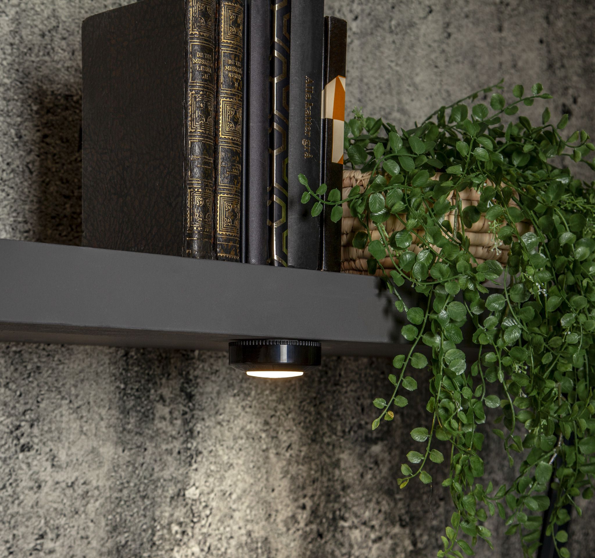 LED Nightlight Functional 3er Pack - 40Lm, 0.55W, 4.5V