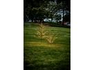 Decorativer Baum Reedy - IP44, Warmweiss, 480 LED's
