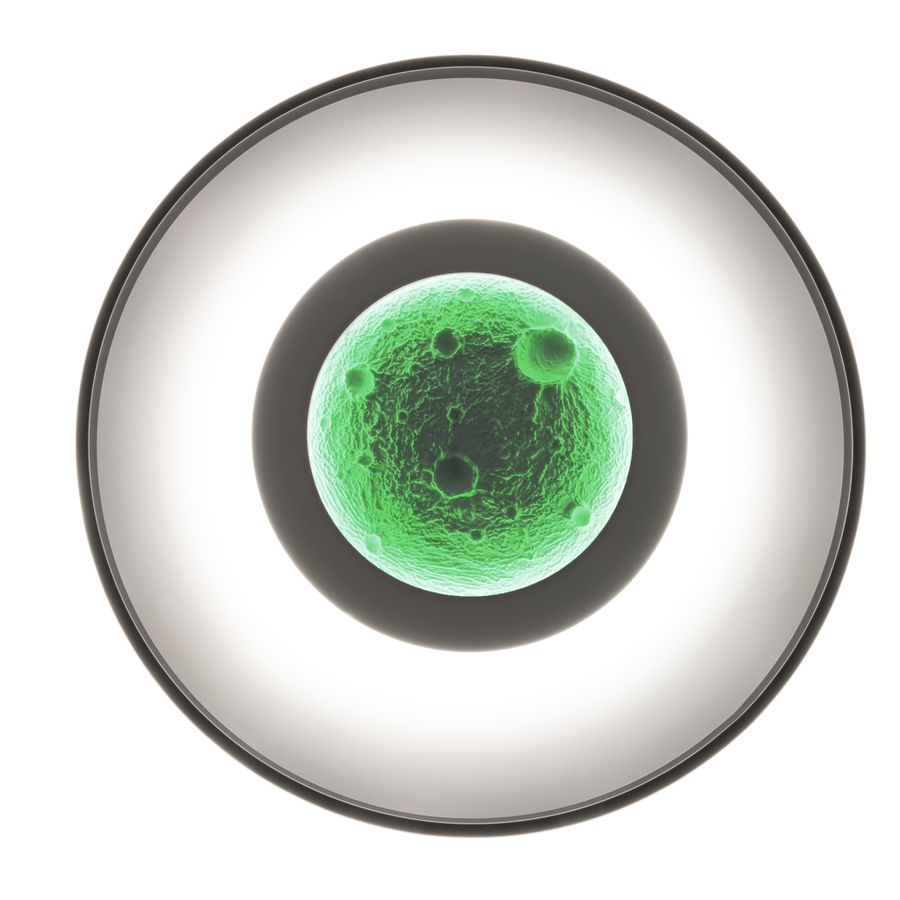 LED Deckenleuchte LIVANA inkl. RGB D:70cm - LED-Modul, IP20, 230V