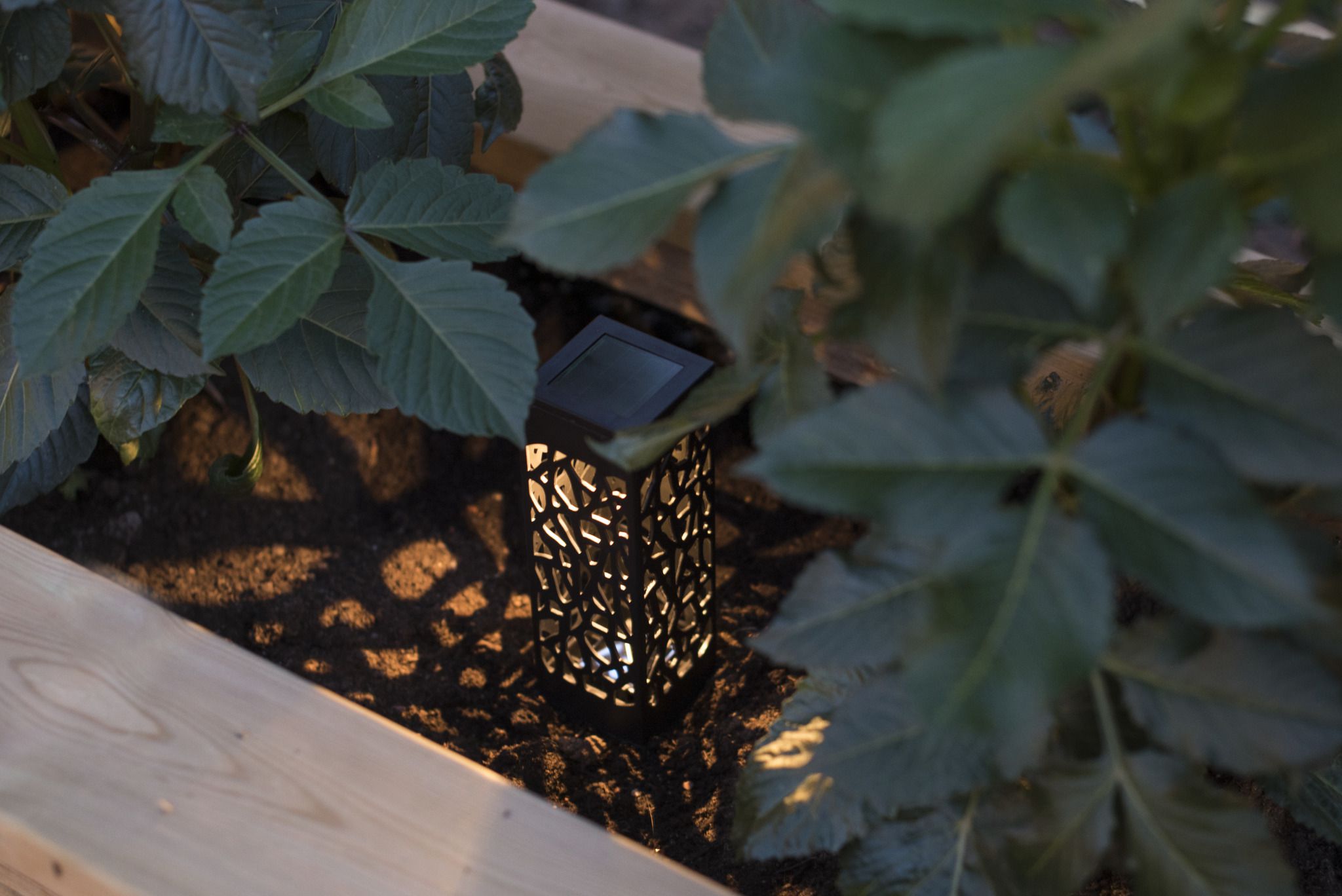 Solar Dekoration Izola mini - Schwarz, Lichtfarbe Warmweiss