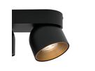 Spotlight Pitcher 2-Spot - 2x50W, GU10, IP20