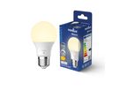 LED-Leuchtmittel Smart, E27, A60, 900lm, We - 7W ,2200-6500K, IP20