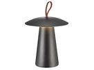 Akkuleuchte Ara To-Go 2 - 2W, LED Module, IP54