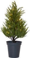 Dekorativer Baum THUJA - IP20, Warmweiss, 40 LED