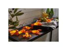 Lichterkette Crayfish Party Batteriebetrieben - IP44, Warmweiss, 8 LED's, 210cm