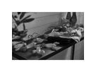 Lichterkette Crayfish Party Batteriebetrieben - IP44, Warmweiss, 8 LED's, 210cm