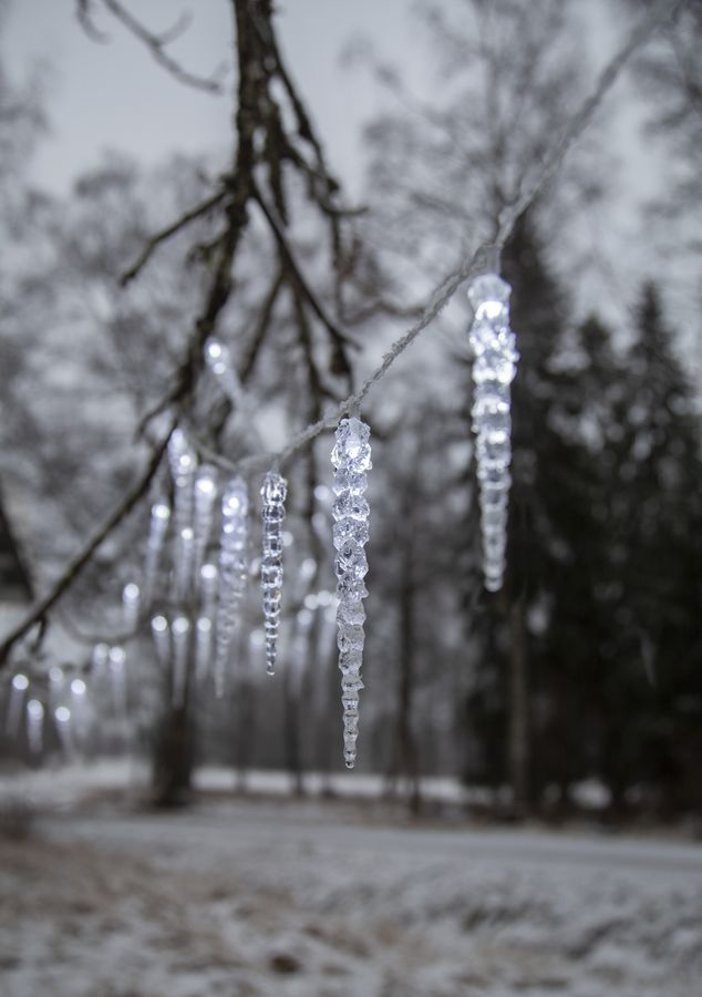 Eiszapfen-Lichterkette Gelido - IP44, Transparent, Kaltweiss