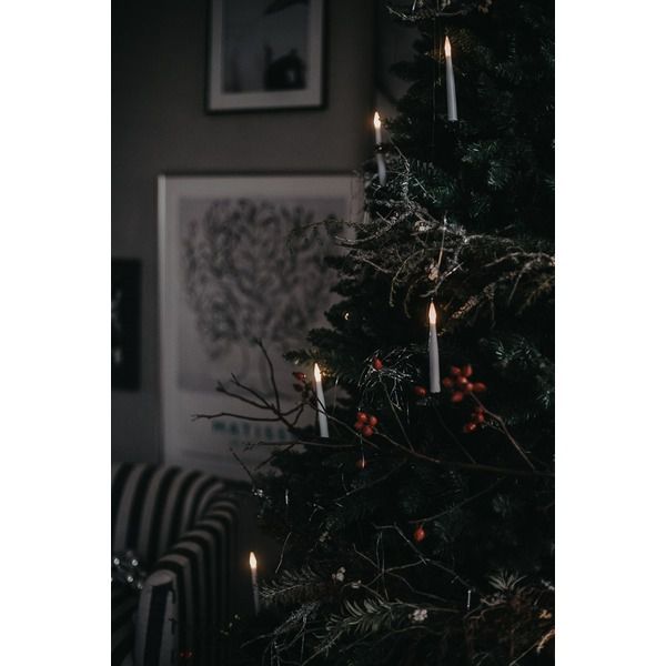 Weihnachtsbaum Calgary - Grün, keine Lämpchen, 250 cm Höhe