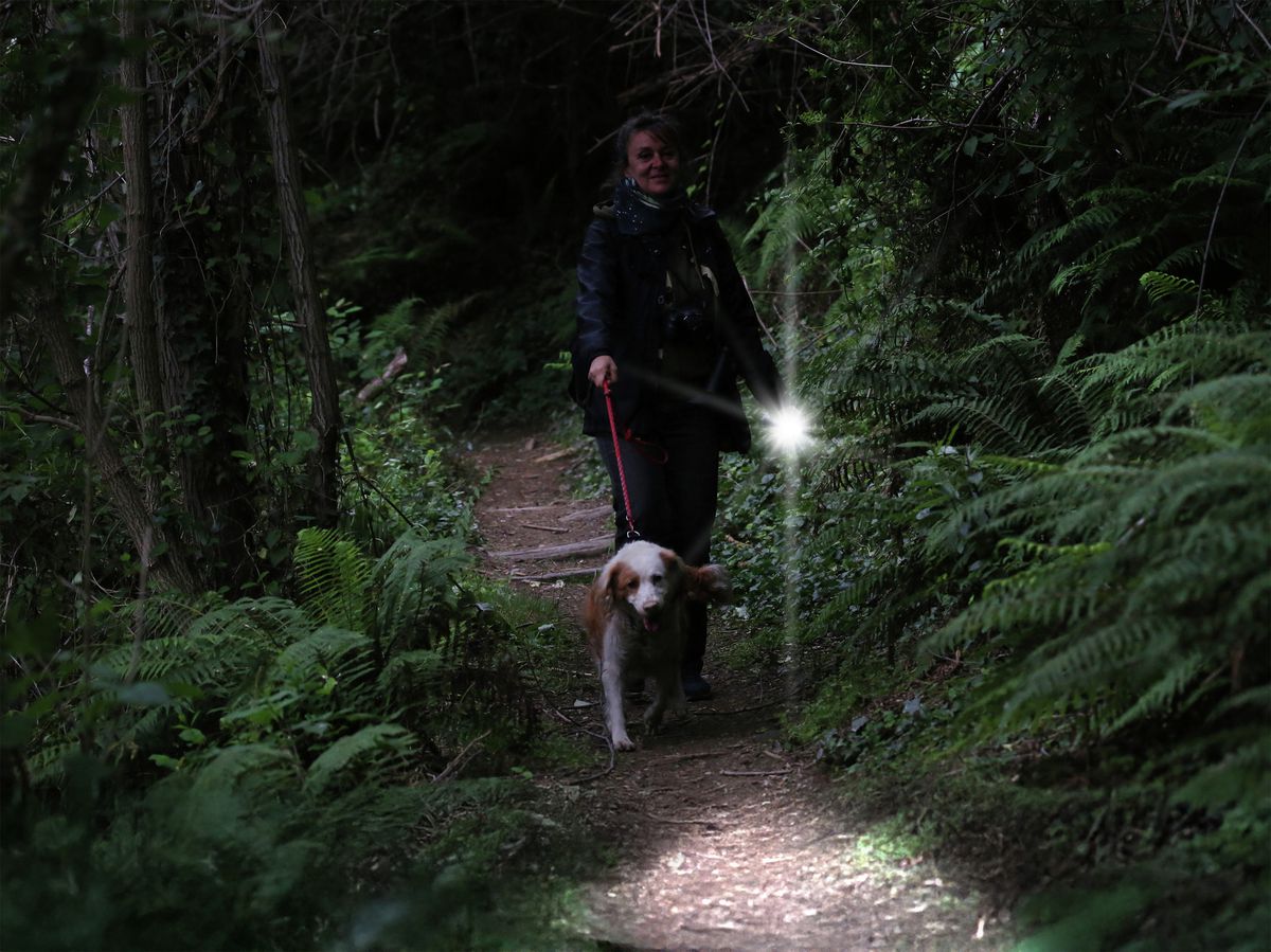 LED Taschenlampe Adventure TA300BF - 300lm, 8.5h, 130m