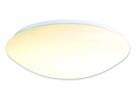 LED Wand- Deckenleuchte Dublin d:27cm - LED fest verbaut, 4000K, neutralweiss