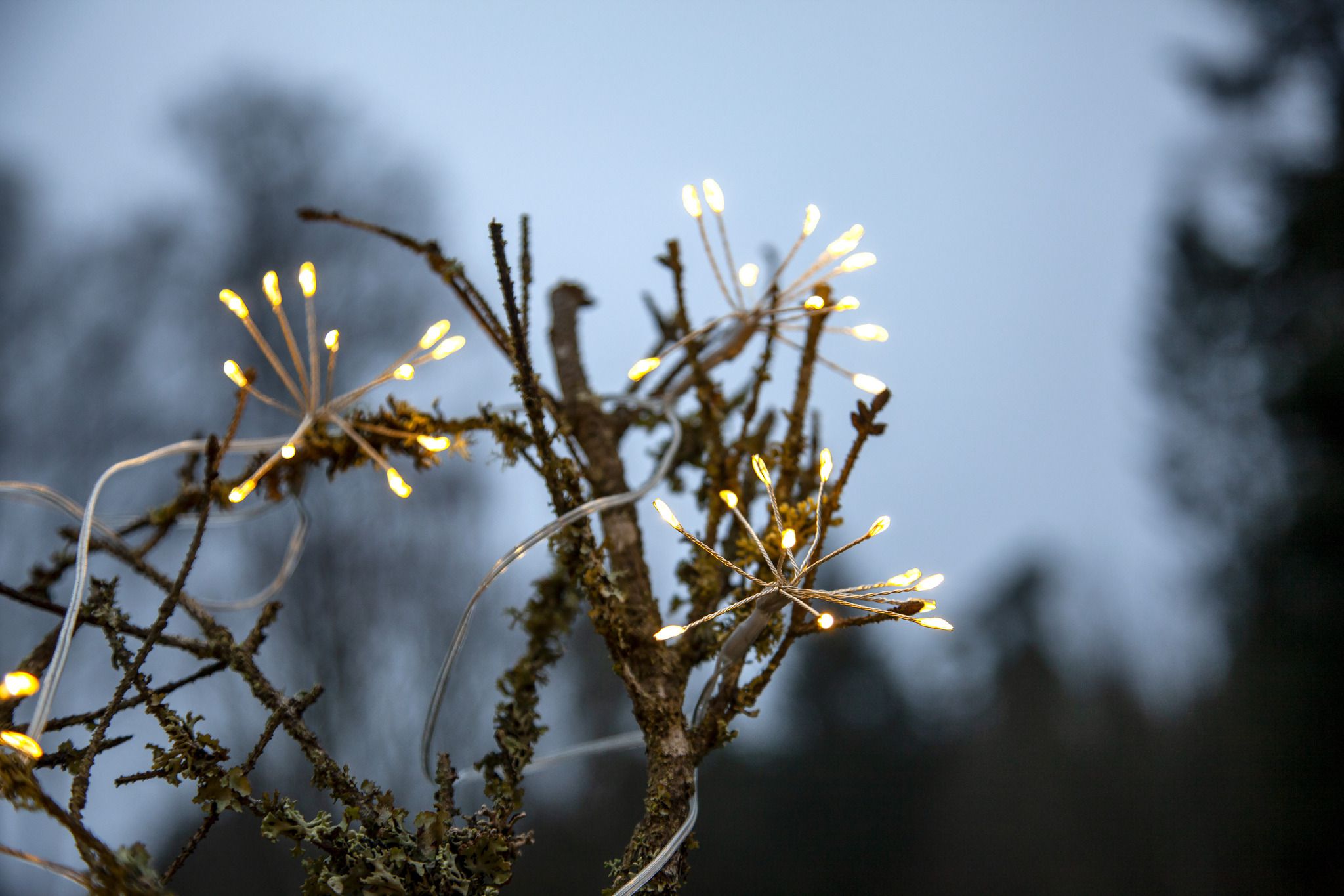 Lichterkette Dew Drop Flower - IP44, Kaltweiss, Silber