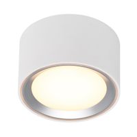 Fallon, Gebürsteter Stahl - 12W LED, 2700K, IP20, 230V
