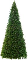 Weihnachtsbaum  Colorado - Grün, keine Lämpchen, 500cm Höhe