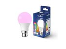LED-Leuchtmittel Smart B22, A60, 806lm , RGB - LED-Leuchtmittel Smart B22, A60, 806lm , RGB