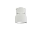 Spotlight Pitcher - 50W, GU10, IP20