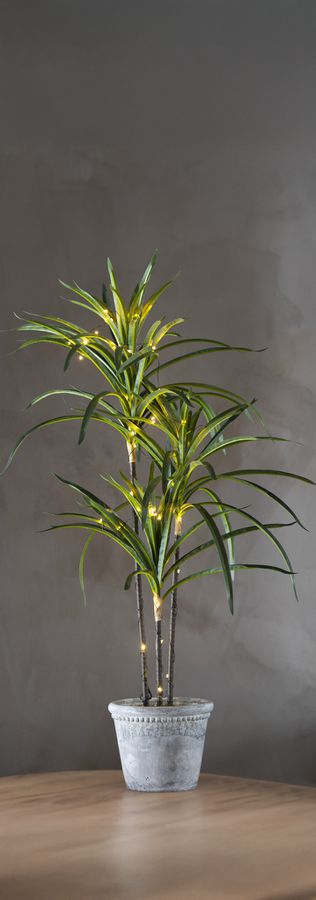 Decorativer Baum Bali - Indoor, Warmweiss, Grün