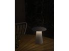 Akkuleuchte Ara To-Go 2 - 2W, LED Module, IP54