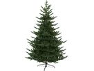 Weihnachtsbaum BREKSTAD - Weihnachtsbaum BREKSTAD