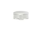 Spotlight Pitcher 3-Rondel - 3x50W, GU10, IP20