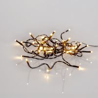 Lichterkette Shiny Warm White - Indoor, Outdoor, Warmweiss, Schwarz