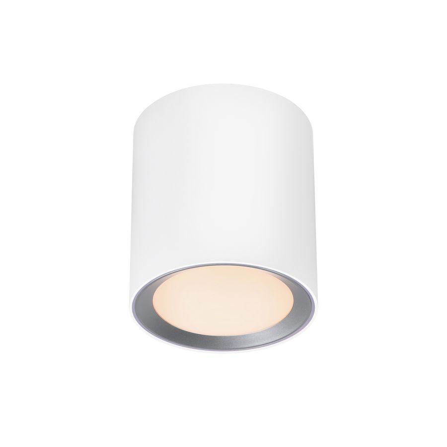 Landon Long Smart, Deckenleuchte, Weiss - 7W ,2700-6500K, IP44