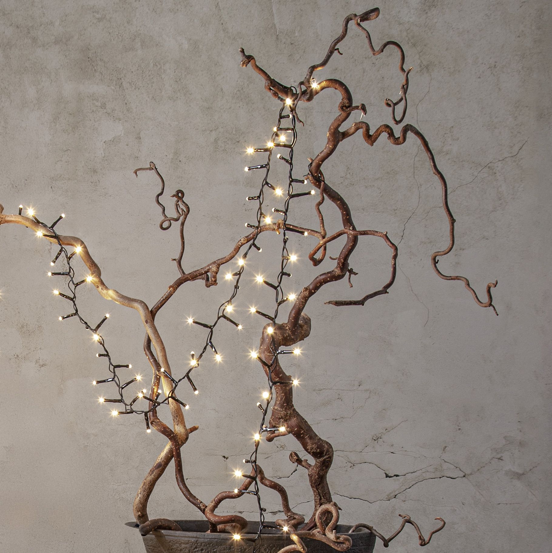 Lichterkette Shiny Warm White - Indoor, Outdoor, Warmweiss, Schwarz