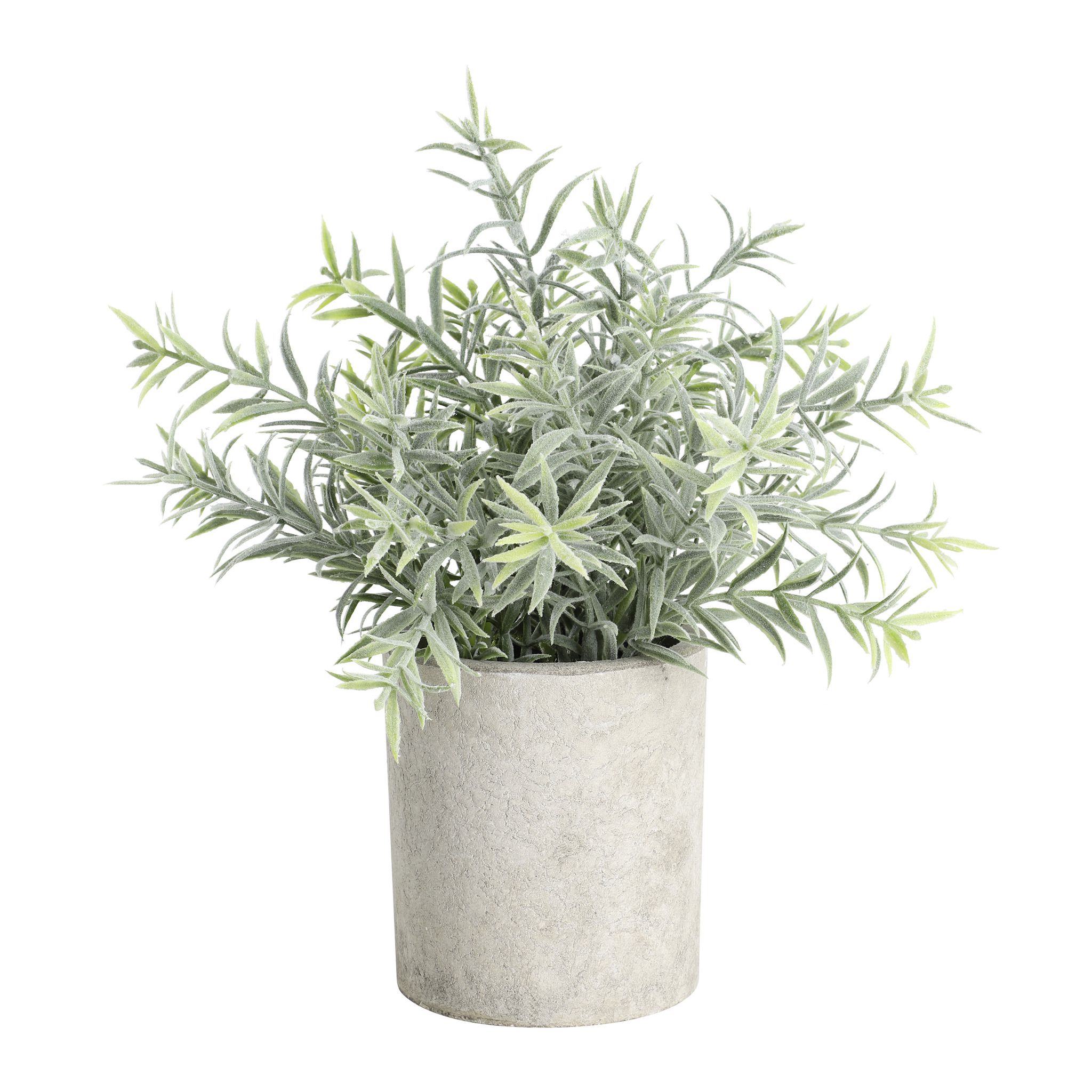 PFLANZE IM TOPF Ø160 H-240 GRAU/GRÜN - PFLANZE IM TOPF Ø160 H-240 GRAU/GRÜN
