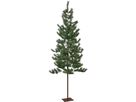 Weihnachtsbaum Tallis - Indoor, Grün, 200.00cm Höhe