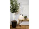 Solar Decoration Solia Shade 26 cm - IP44, Warmweiss, Dämmerungssensor
