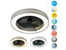 LED-CCT Deckenleuchte  VALENTO  inkl. Ventilator : 51cm grau - IP20, LED-Modul, Grau