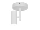 Jerome Spot  Weiss - IP20, GU10