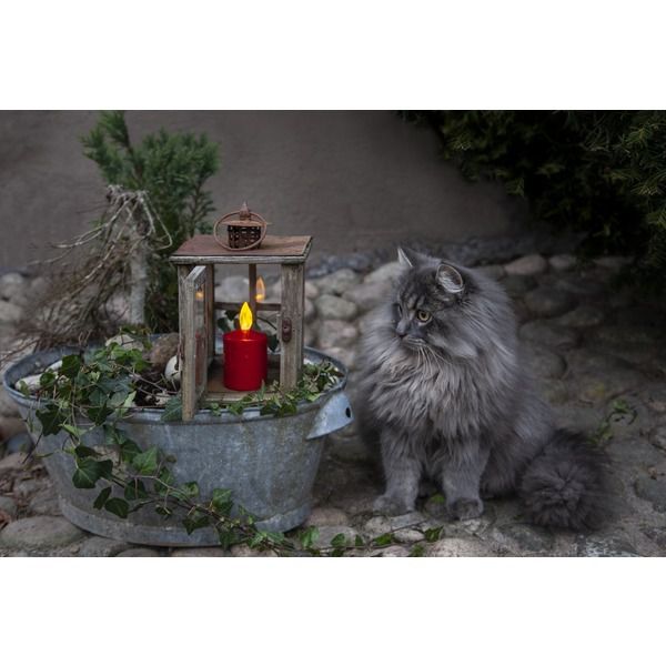 LED Grablicht Paula - Outdoor, Rot, 11.5cm Höhe, Timerfunktion