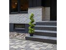 Dekorativer Baum Buxbom - grün, 30 LED's, 90 cm Höhe