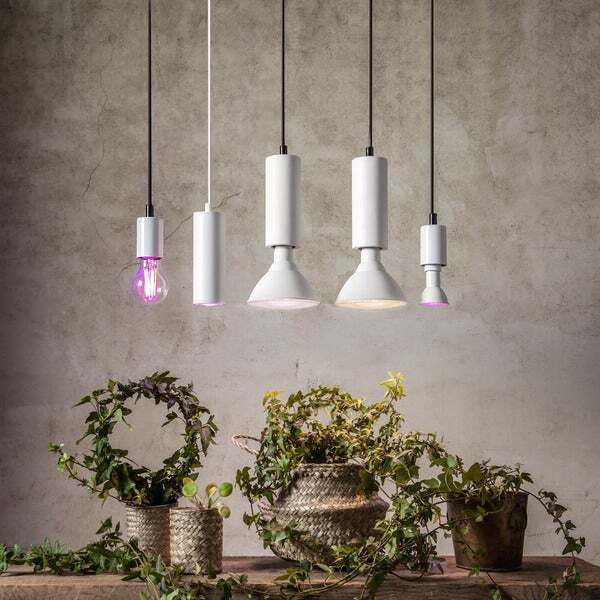 LED Leuchtmittel E14 PAR16 Pflanzen - E14, 121lm,3.5W, 230V