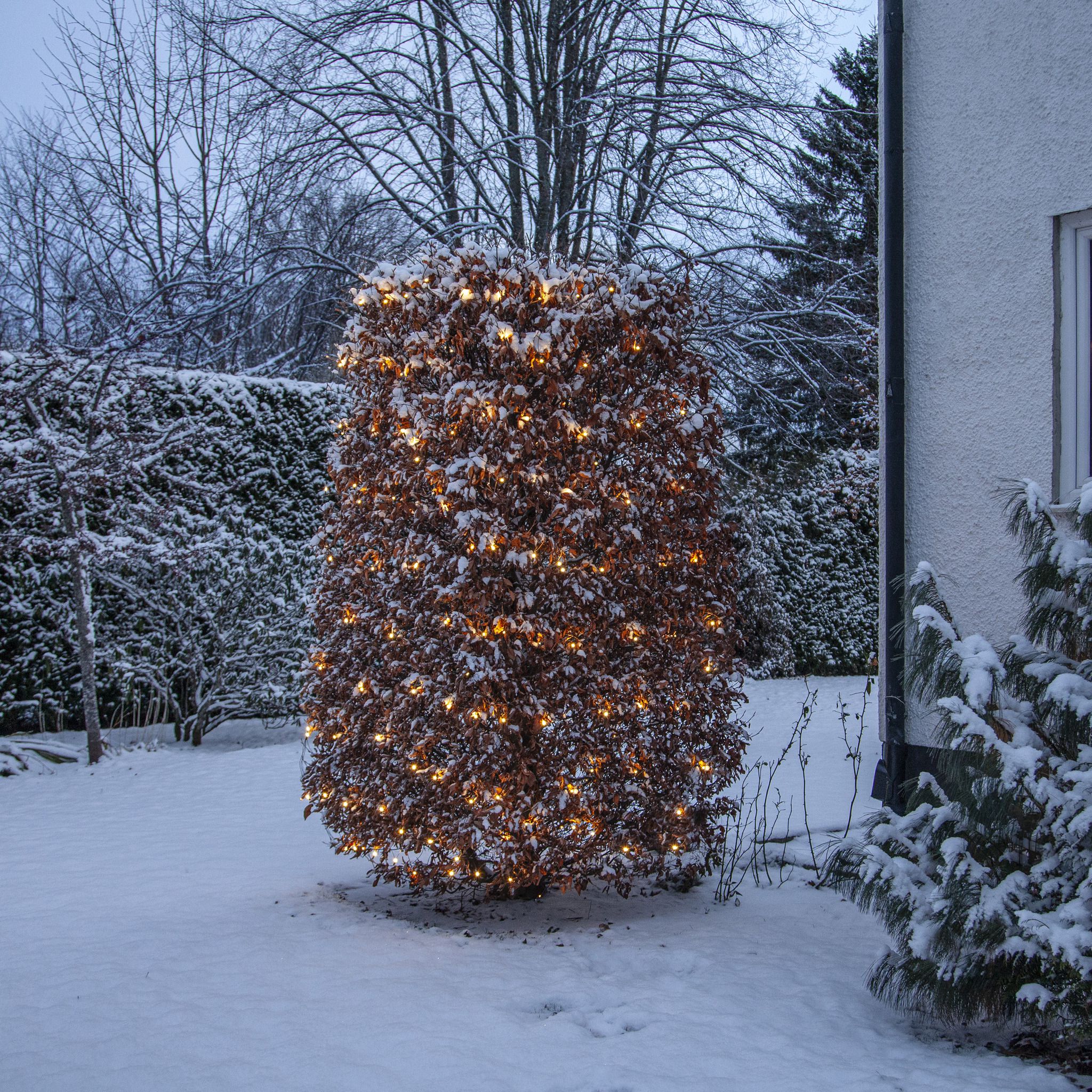 Netzlichterkett Shiny - IP44, Warmweiss, 200 LED's, 300.00 cm