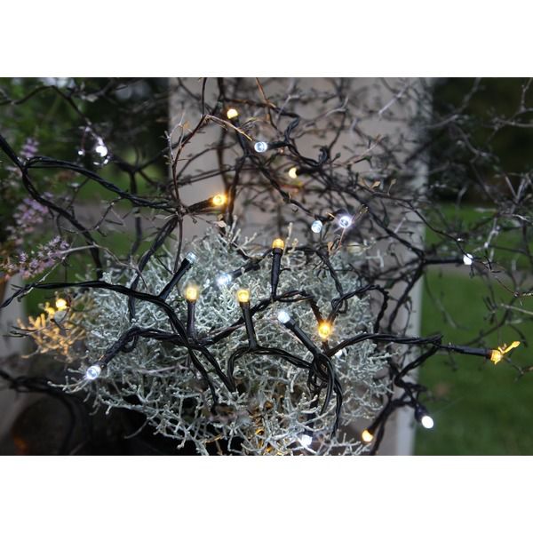 Lichterkette SERIE LED - Lichterkette SERIE LED