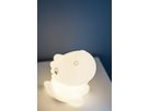 LED Nachtlicht Functional Dinosaur - RGBW