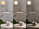 Balance, Wandleuchte, Schwarz - LED Modul, 17,5, IP20