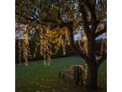 Lichterkette Shiny - IP44, Warmweiss, 540 LED's, 1080.00 cm