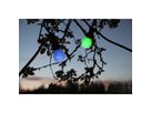 LED Leuchtmittel B22 A55 Outdoor Lighting - B22, 0.9W, 220-240
