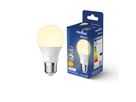 LED-Leuchtmittel Smart E27, A60, 806lm - LED-Leuchtmittel Smart E27, A60, 806lm