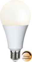 LED Leuchtmittel E27 A80 High Lumen - E27, 2452Lm, 2700K, 20W, 220-240VAC