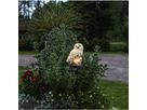 Solar Decoration Owl - IP44, Warmweiss, Dämmerungssensor