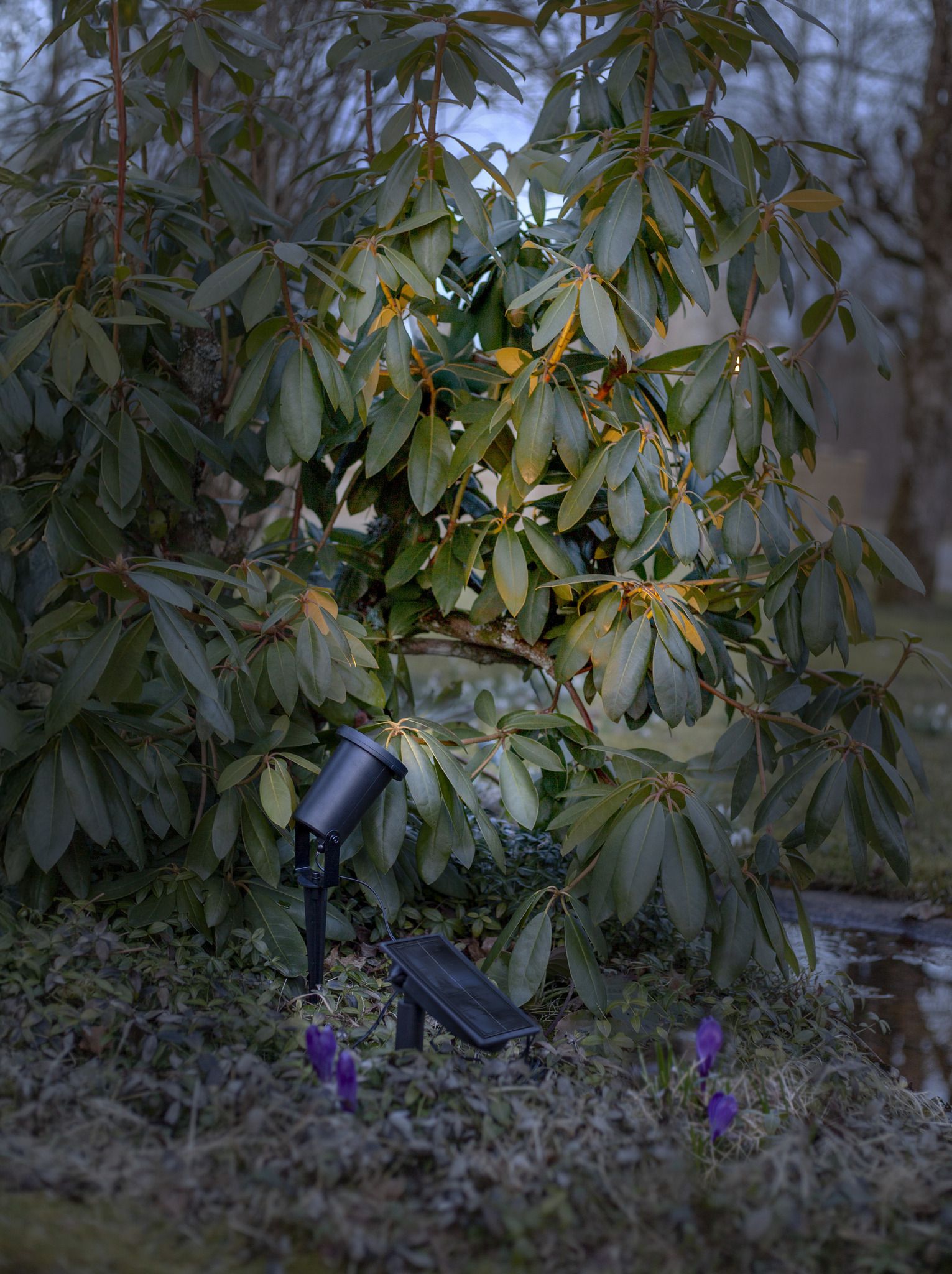 Solar Spotlight Powerspot - Indoor, Outdoor, Warmweiss, Schwarz